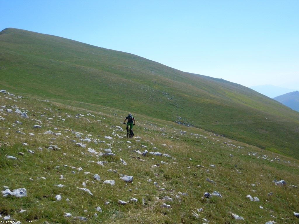 173560-dscn6122.jpg