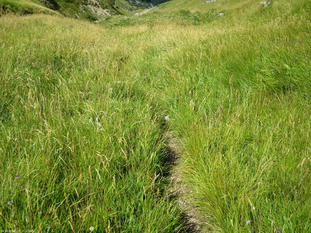 173569-dscn6135.jpg