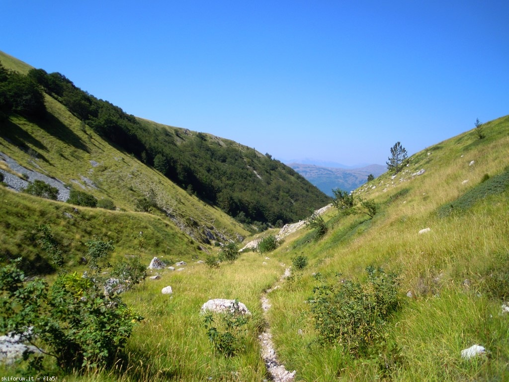 173572-dscn6138.jpg