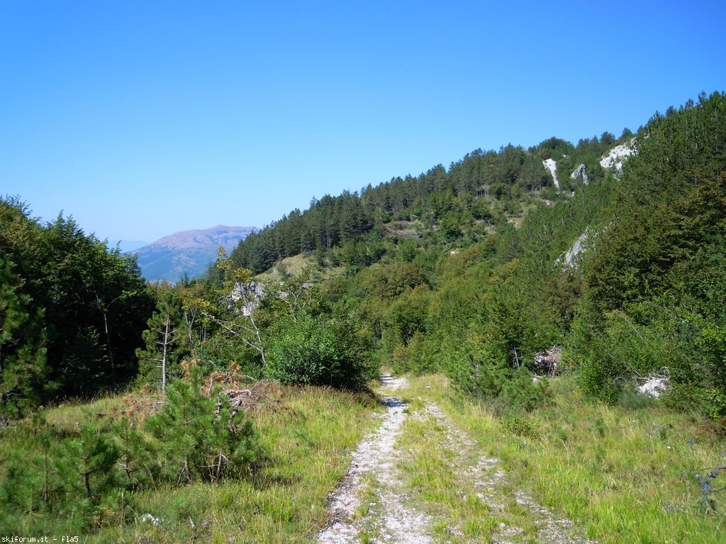 173573-dscn6141.jpg