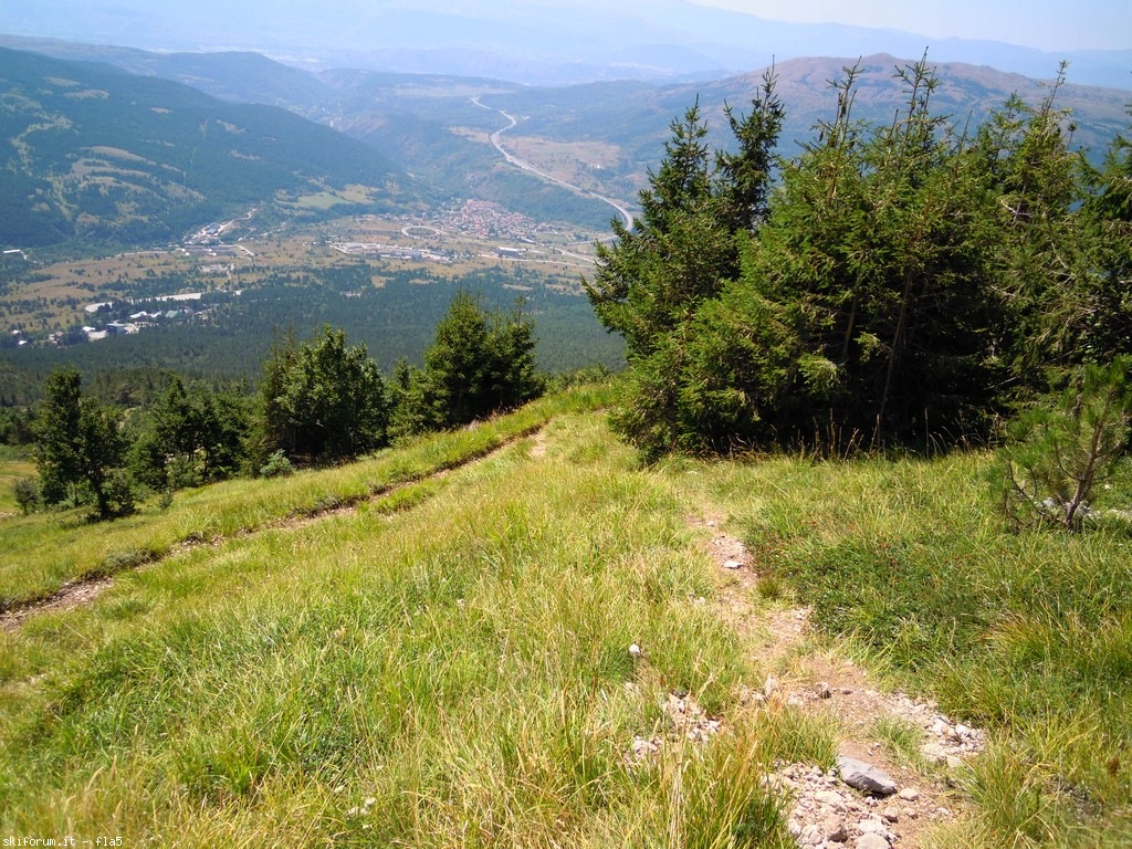 173583-dscn6169.jpg