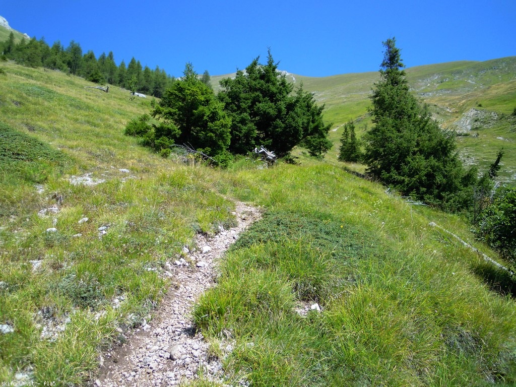 173584-dscn6171.jpg