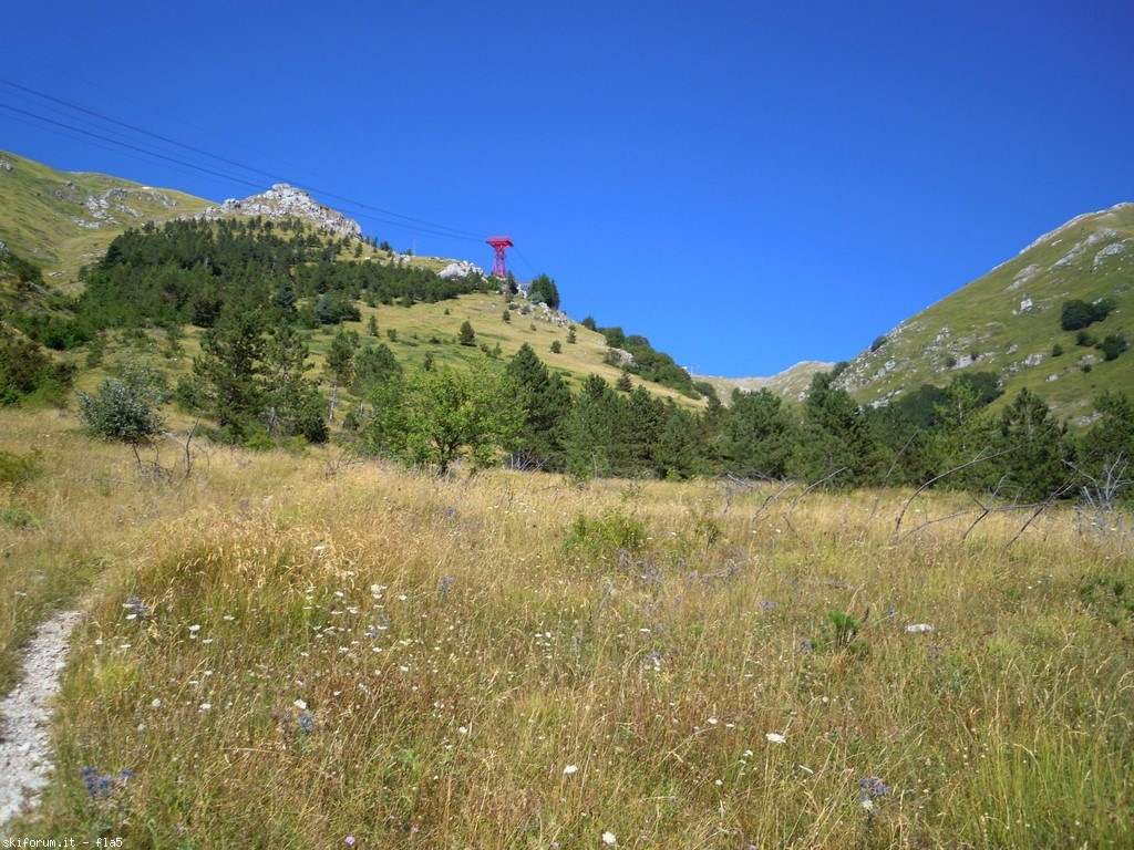 173601-dscn6203.jpg