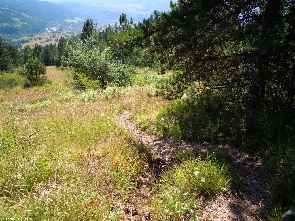 173603-dscn6205.jpg