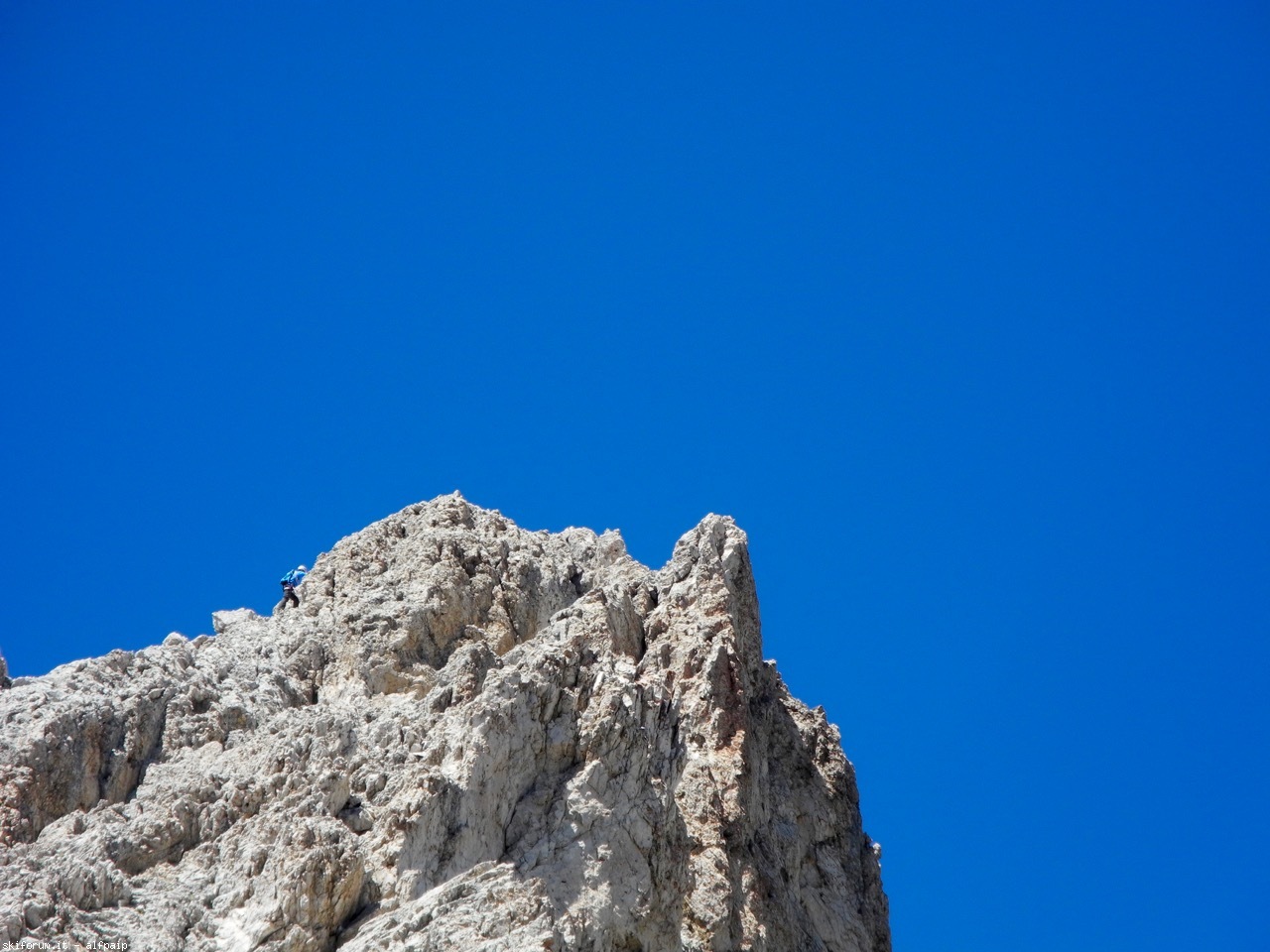 173782-piccola-furchetta-dscn3339.jpg