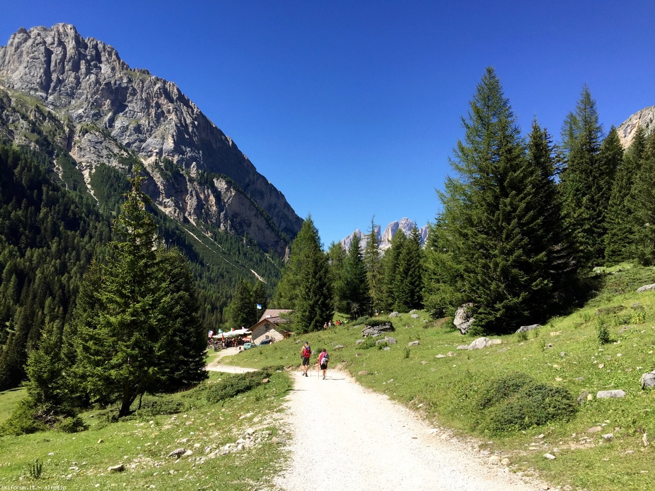 Percorre Le Campagne In Lungo E In Largo