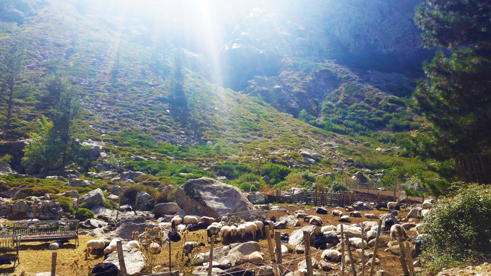 174146-corsica-val-restonica-restonica1.jpg
