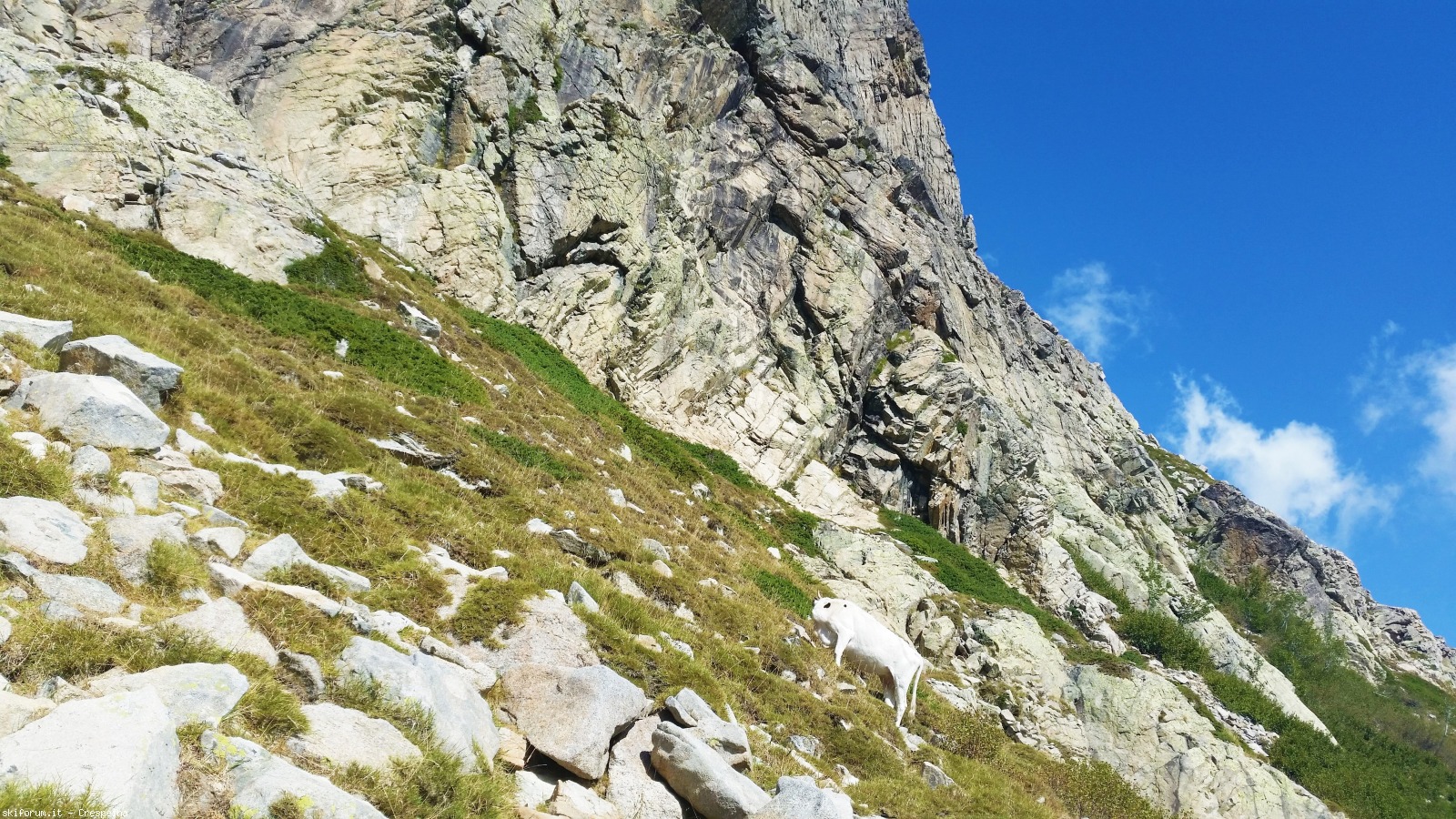 174159-corsica-val-restonica-restonica14.jpg