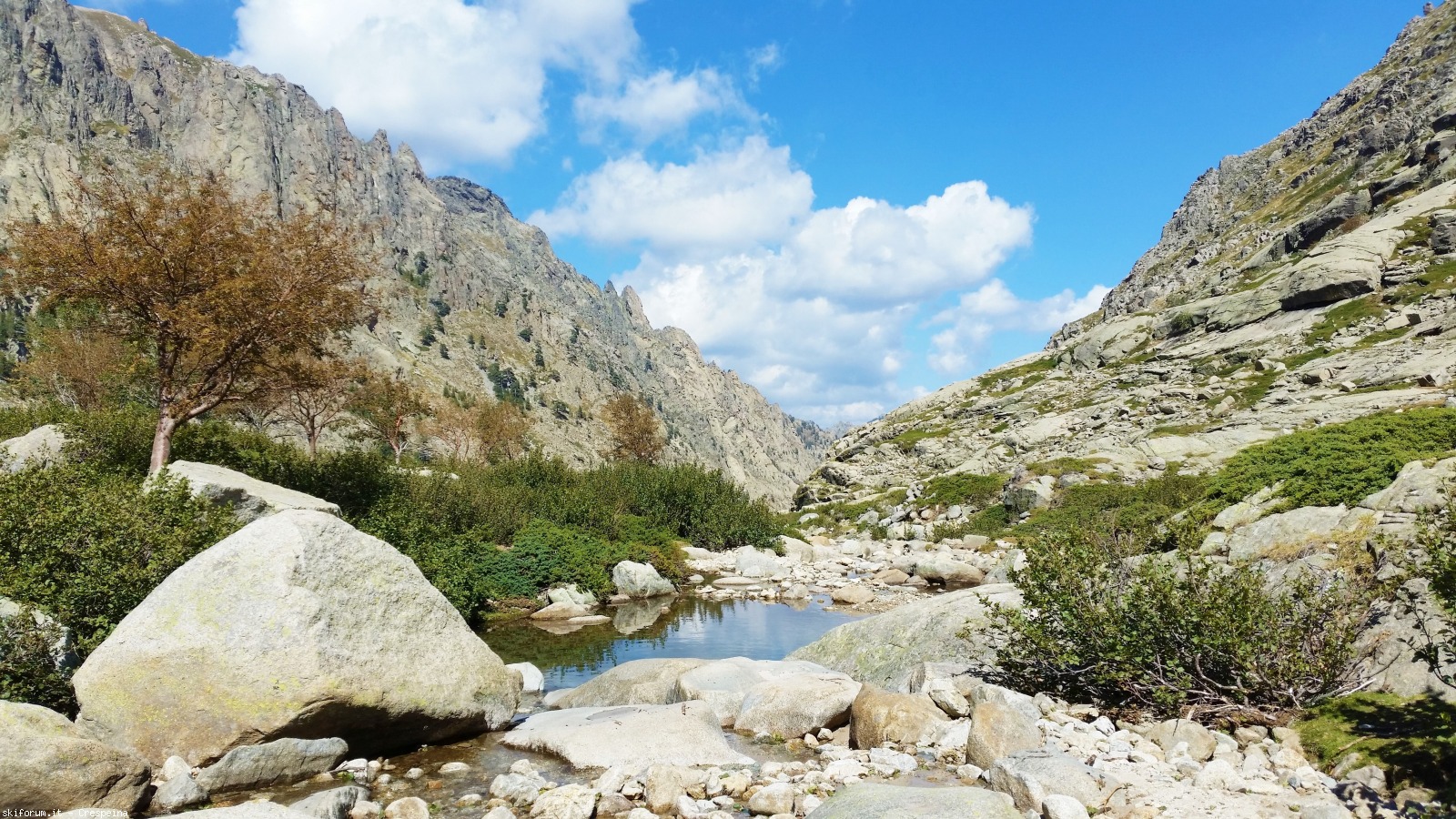 174173-corsica-val-restonica-restonica28.jpg