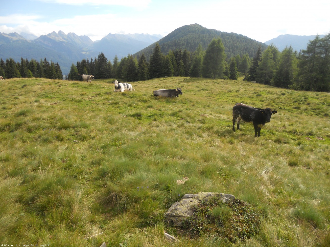 174239-viezzena-dscn1742.jpg