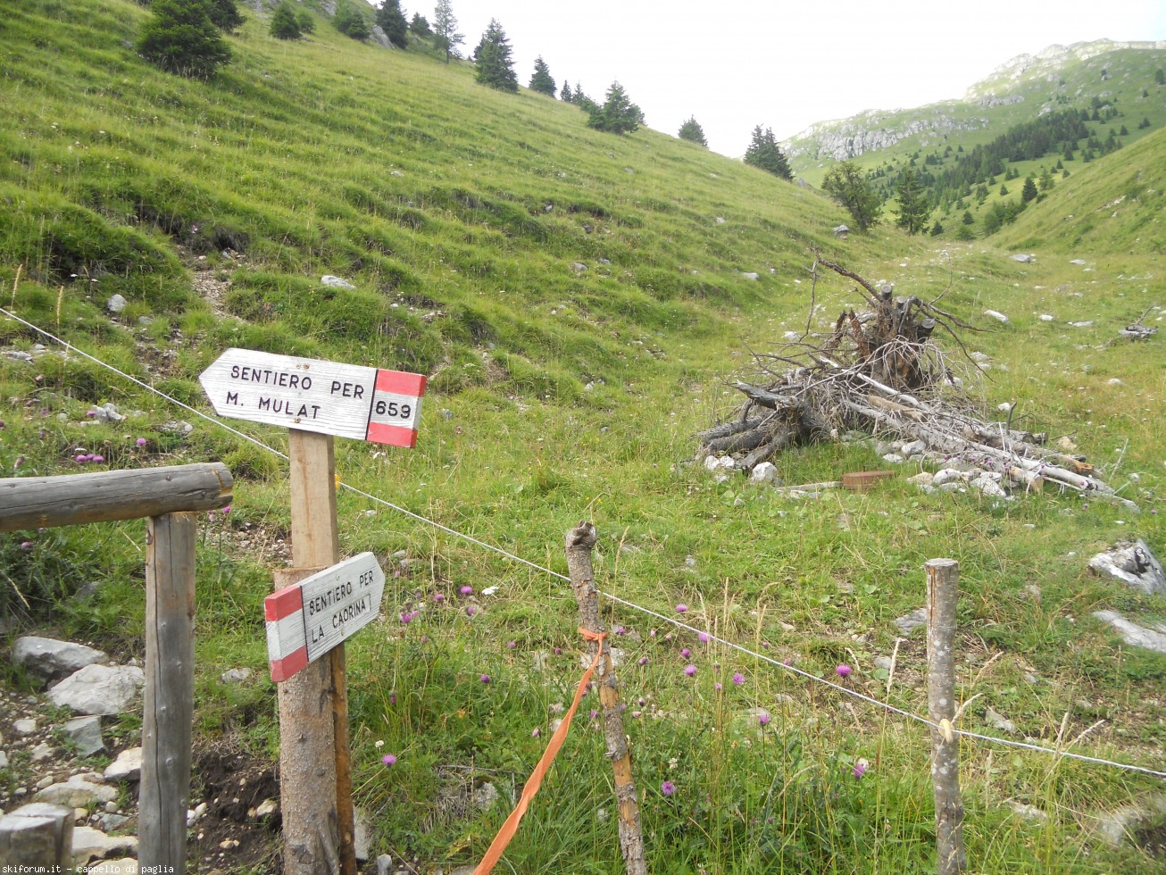 174241-viezzena-dscn1748.jpg