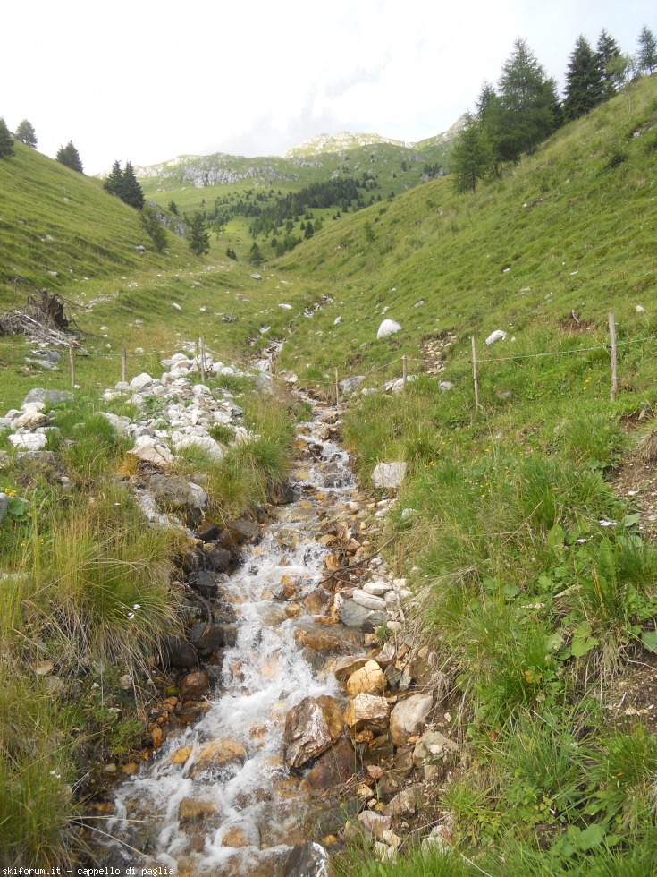 174242-viezzena-dscn1750.jpg