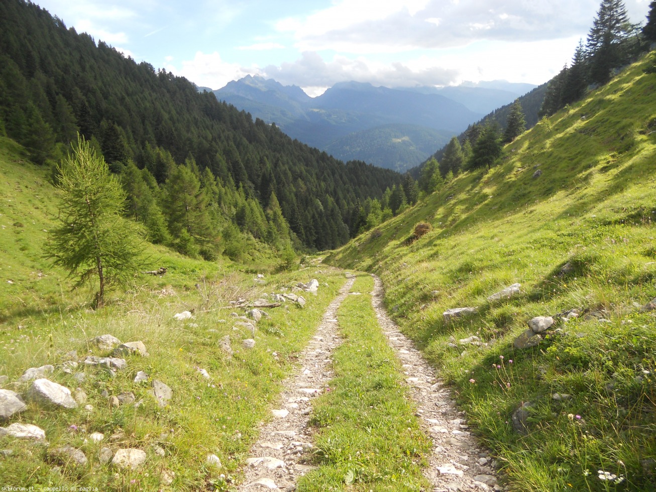 174243-viezzena-dscn1753.jpg