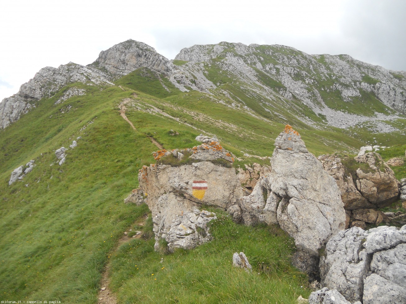 174275-viezzena-dscn1645.jpg