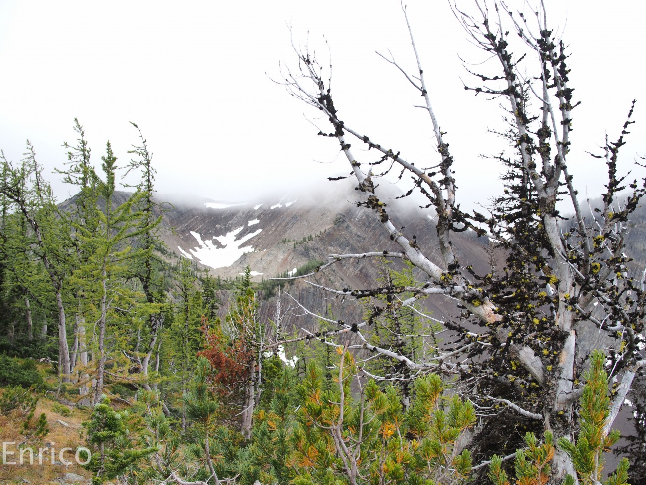 174297-frosty-mountain-frosty-mountain-4-of-36.jpg