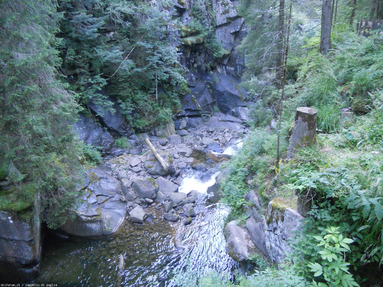 174583-sottosassa-dscn1767.jpg