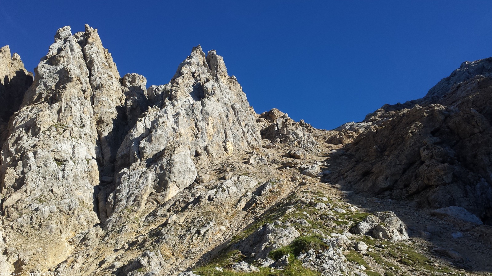 174851-schenon-20160822180123.jpg