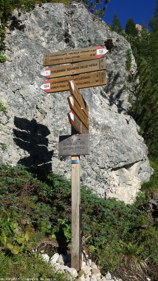 174855-schenon-20160822183208.jpg
