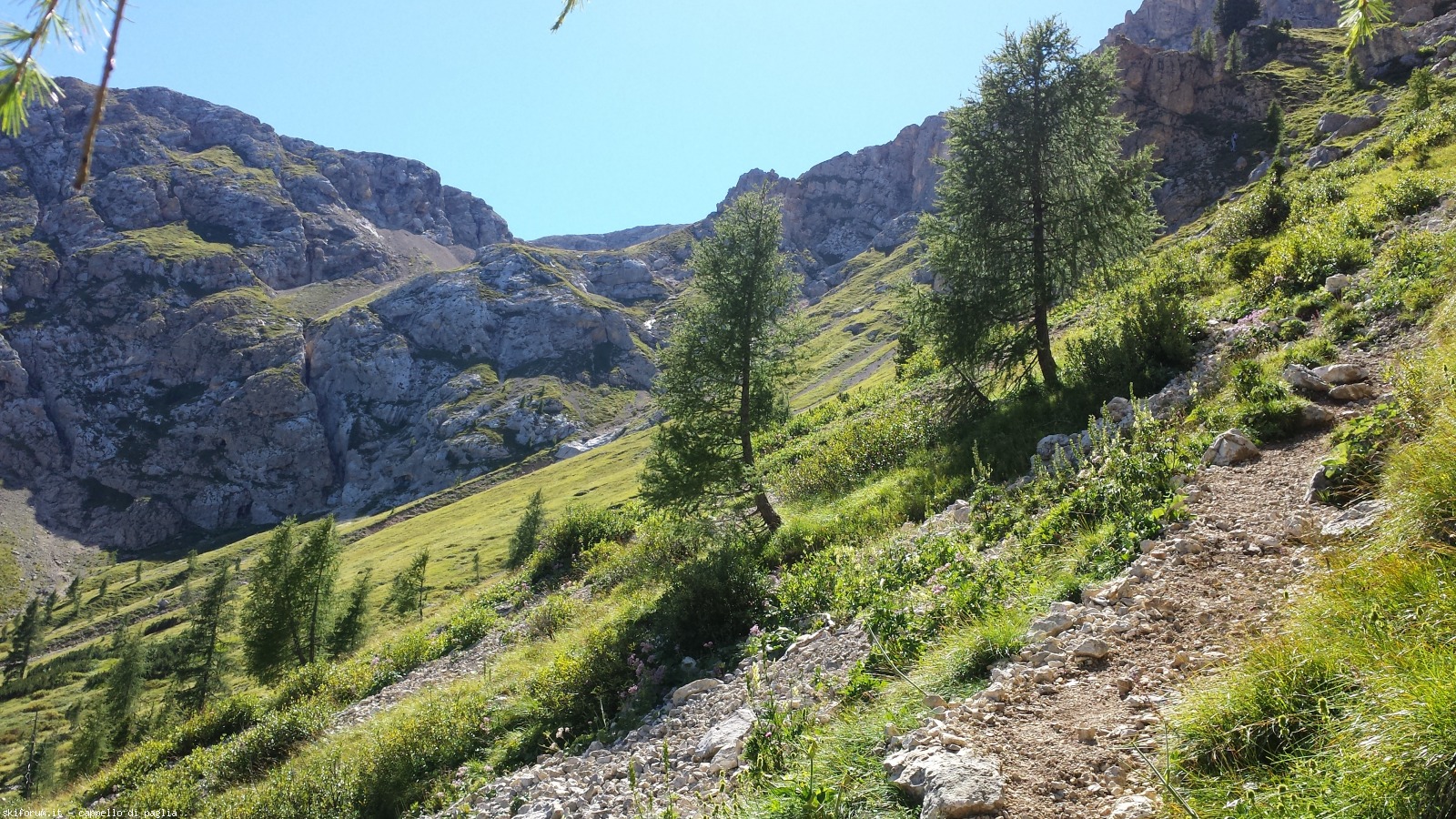 174859-schenon-20160822145918.jpg