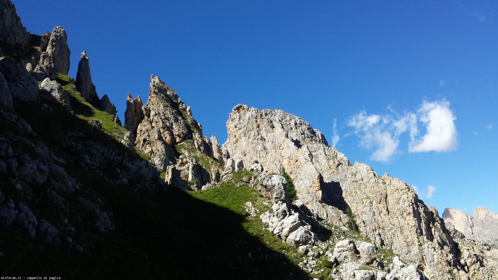 174864-schenon-20160822152001.jpg