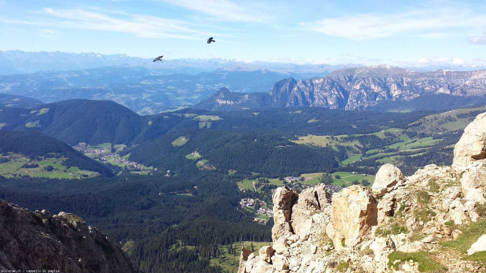 174870-schenon-20160822155053.jpg