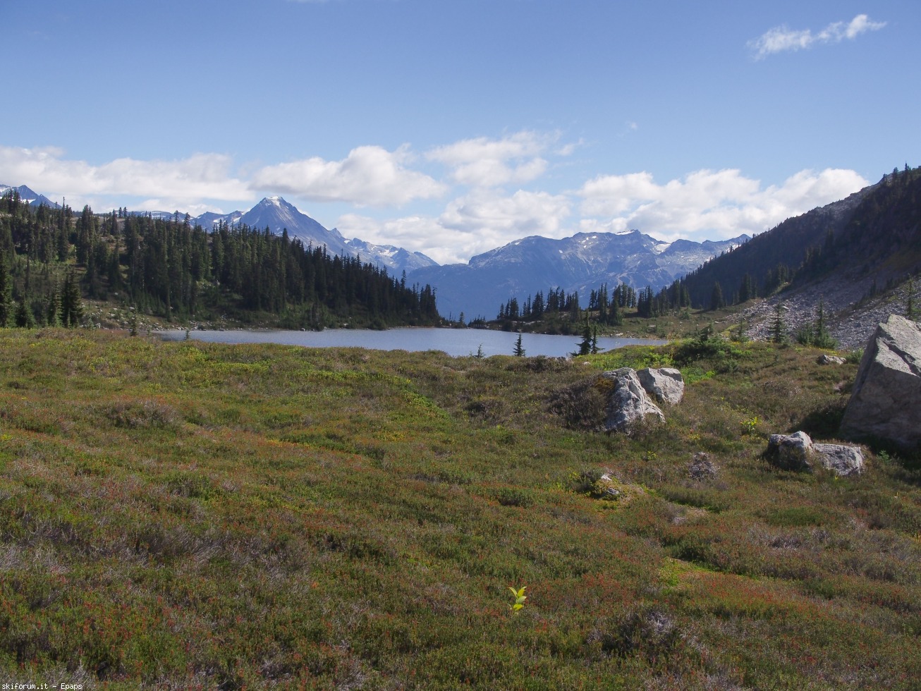 175040-rainbow-mt.-005-wedge.jpg