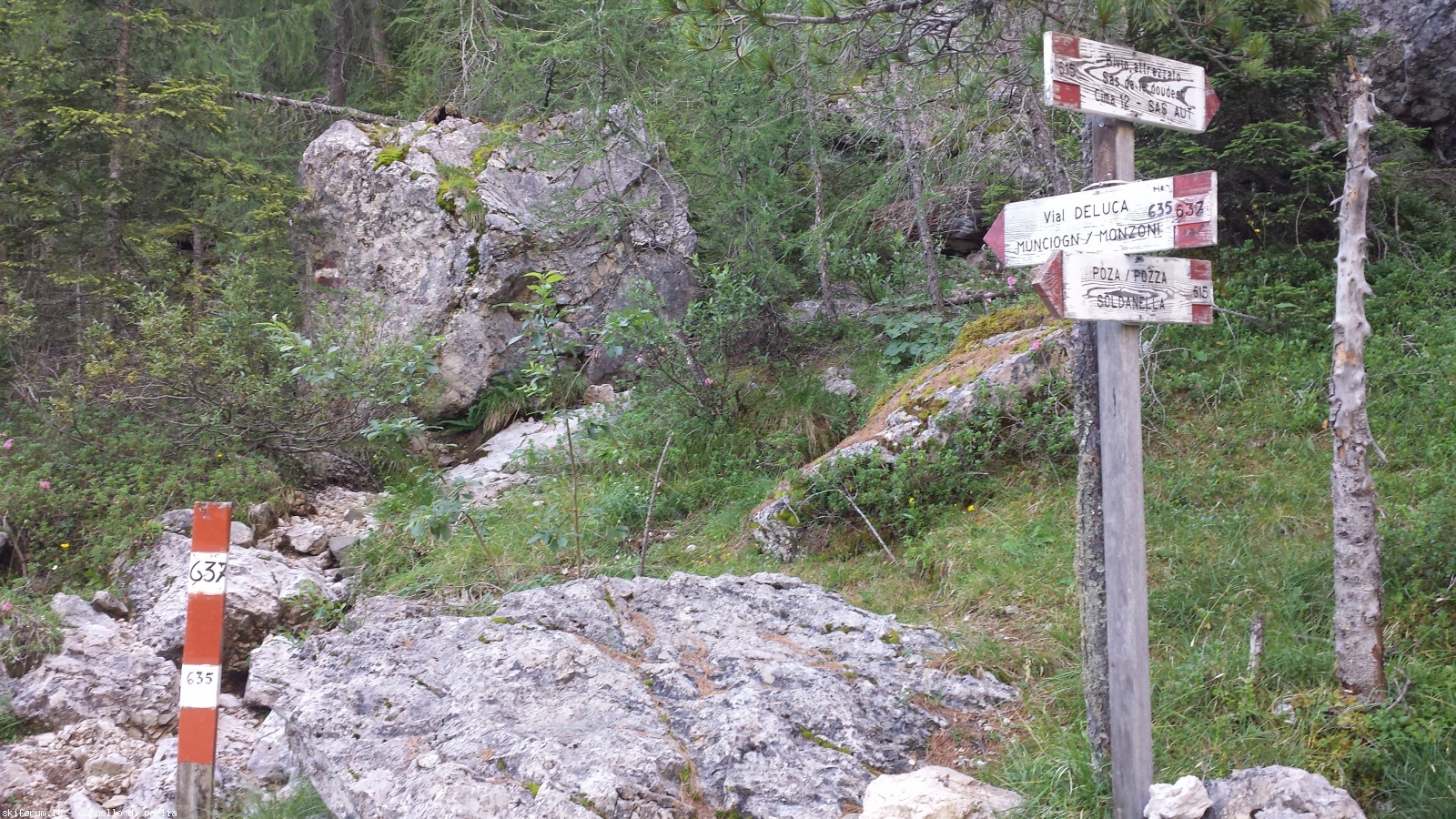 175384-vallaccia-20160803090917.jpg