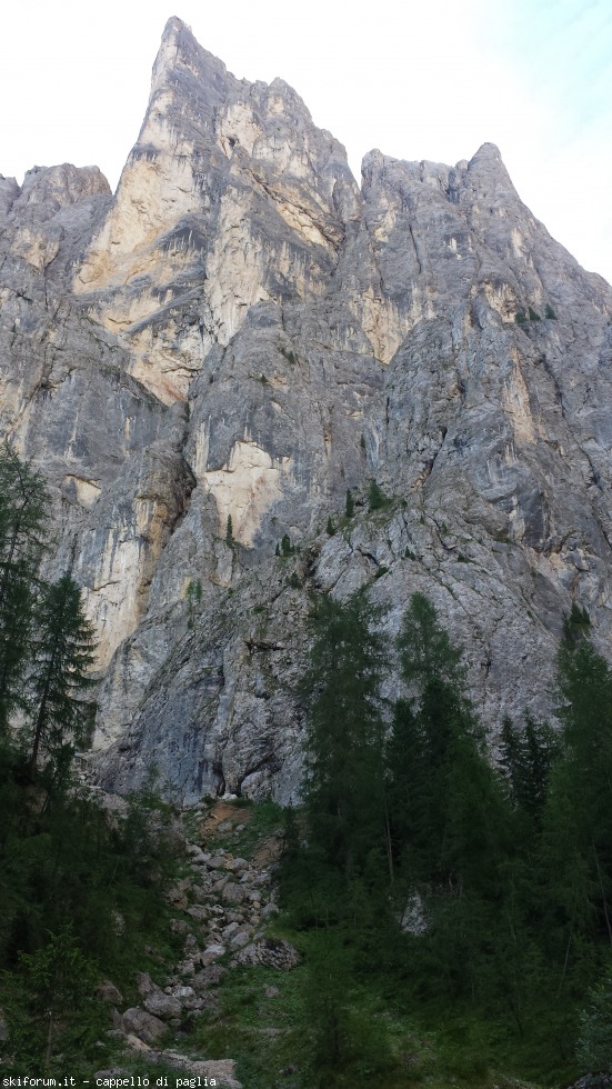 175385-vallaccia-20160803091340.jpg