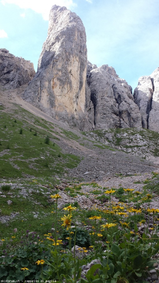 175389-vallaccia-20160803095339.jpg