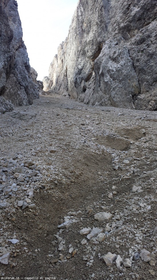 175391-vallaccia-20160803102341.jpg