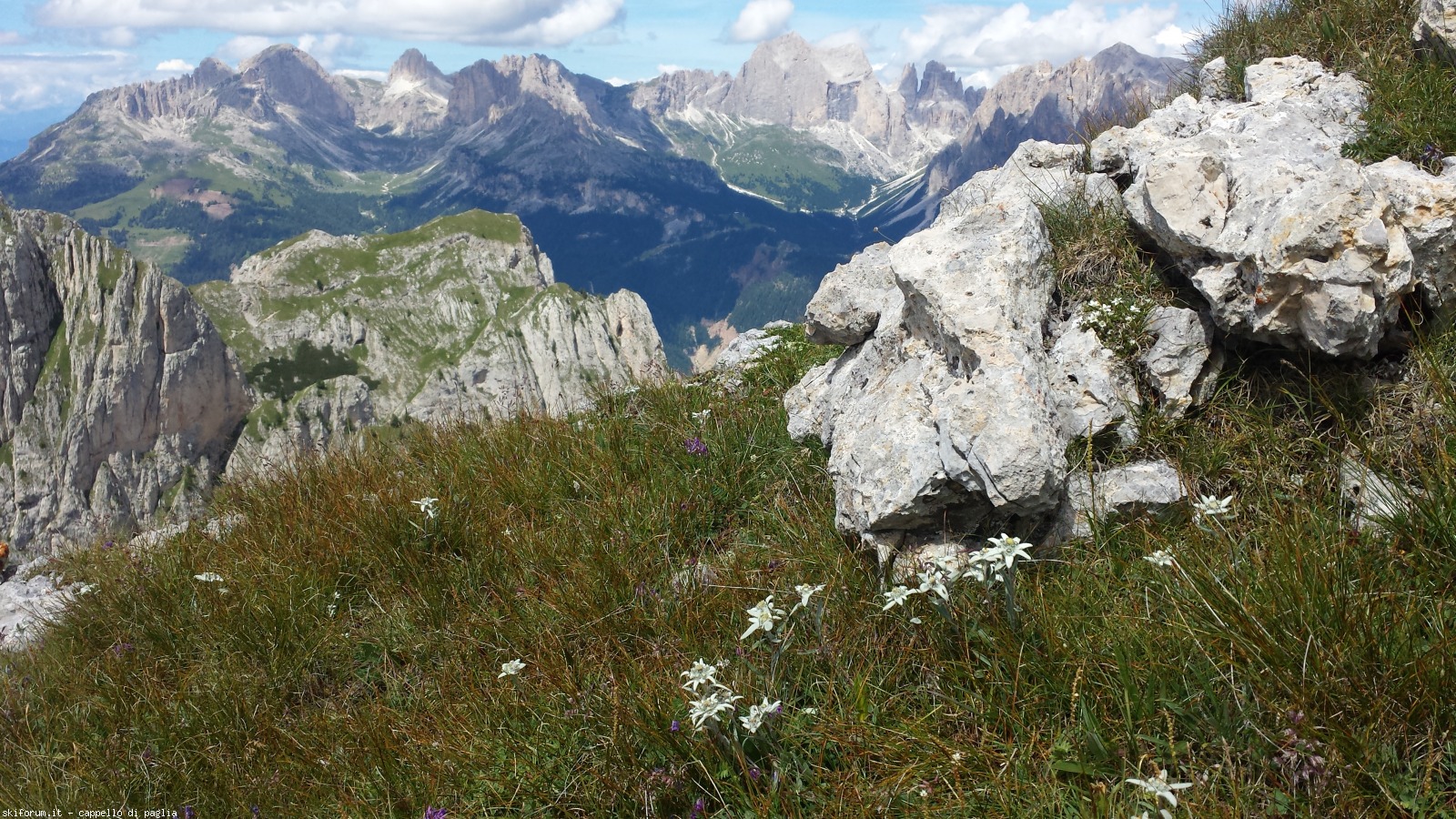175399-vallaccia-20160803123323.jpg