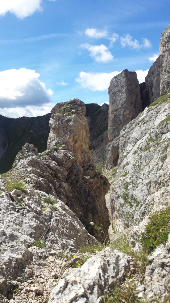175412-vallaccia-20160803111231.jpg
