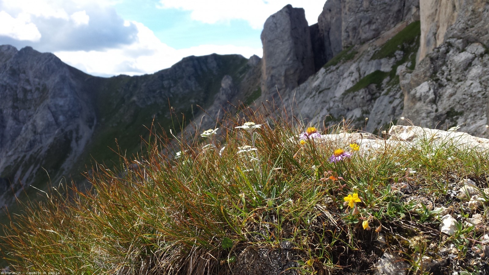 175415-vallaccia-20160803111755.jpg