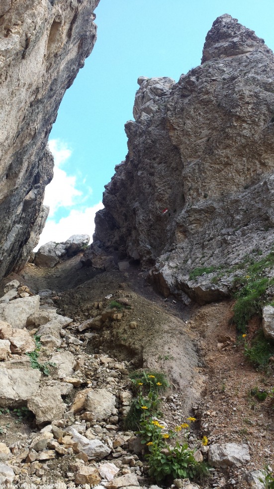 175416-vallaccia-20160803112329.jpg