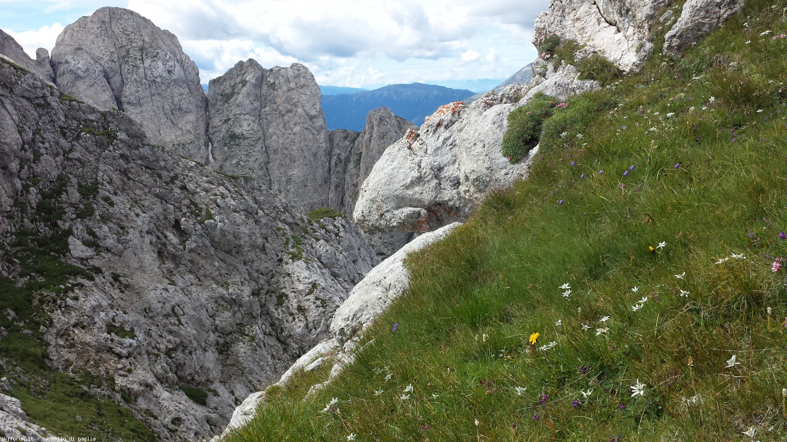 175423-vallaccia-20160803120532.jpg