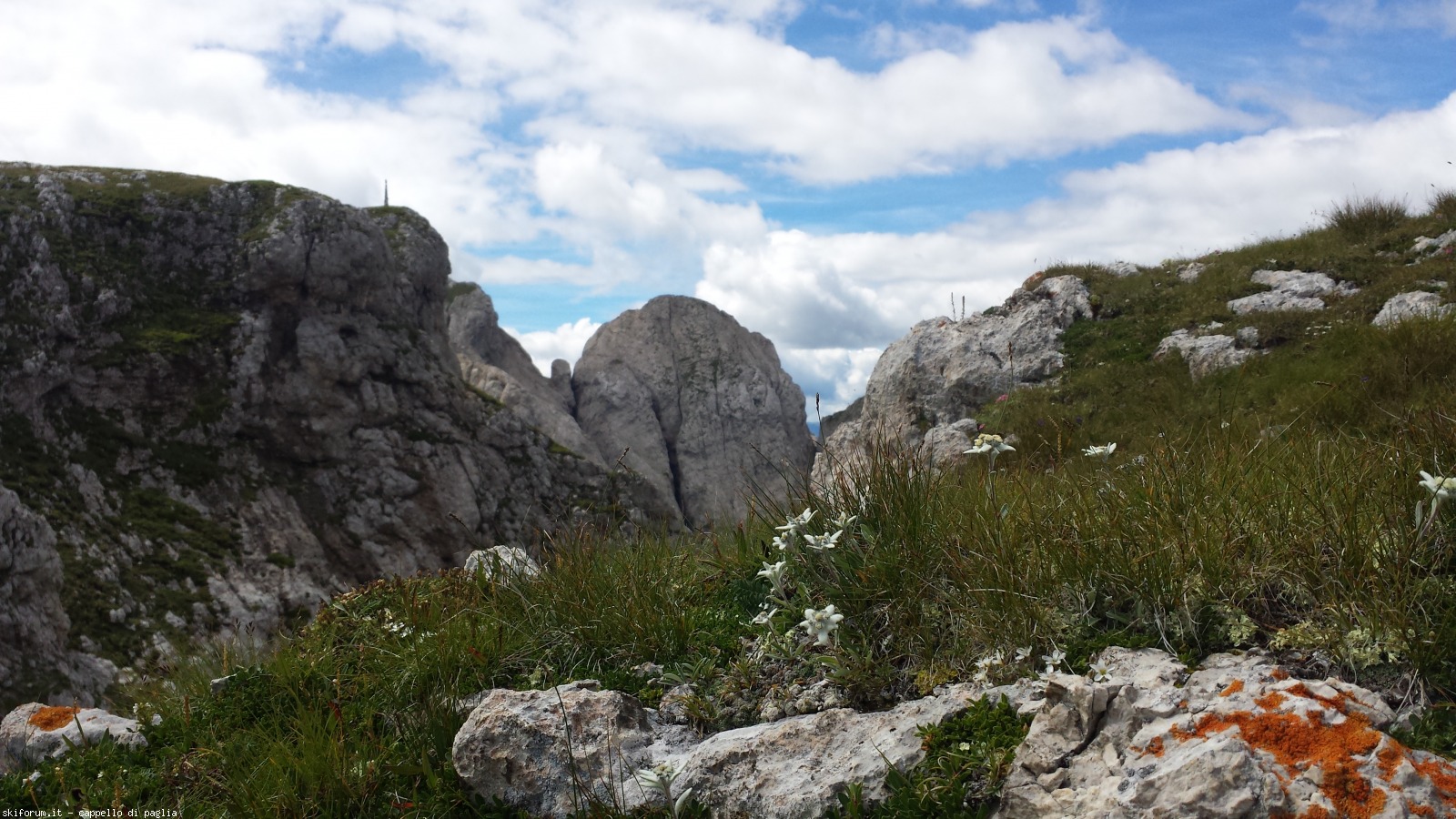 175424-vallaccia-20160803120547.jpg