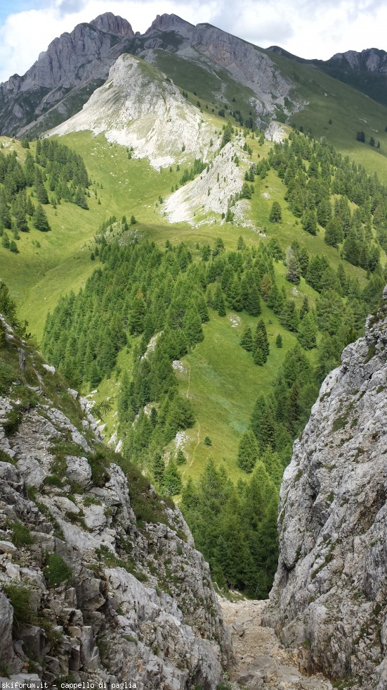 175430-vallaccia-20160803150627.jpg