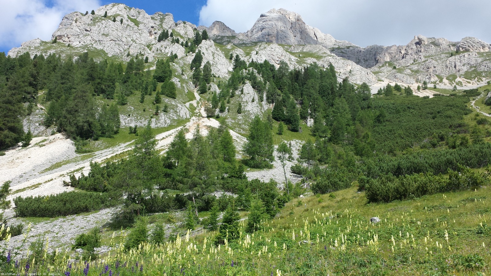 175440-vallaccia-20160803155602.jpg