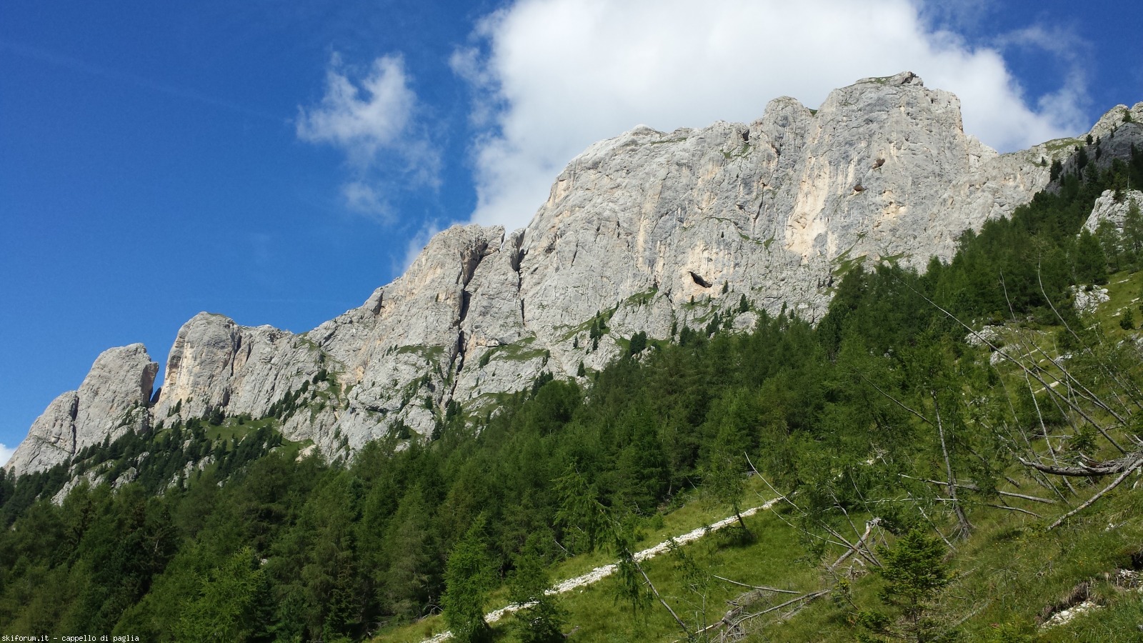 175442-vallaccia-20160803160359.jpg