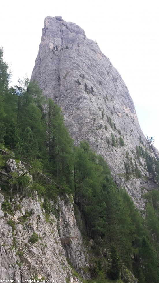 175449-vallaccia-20160803163046.jpg