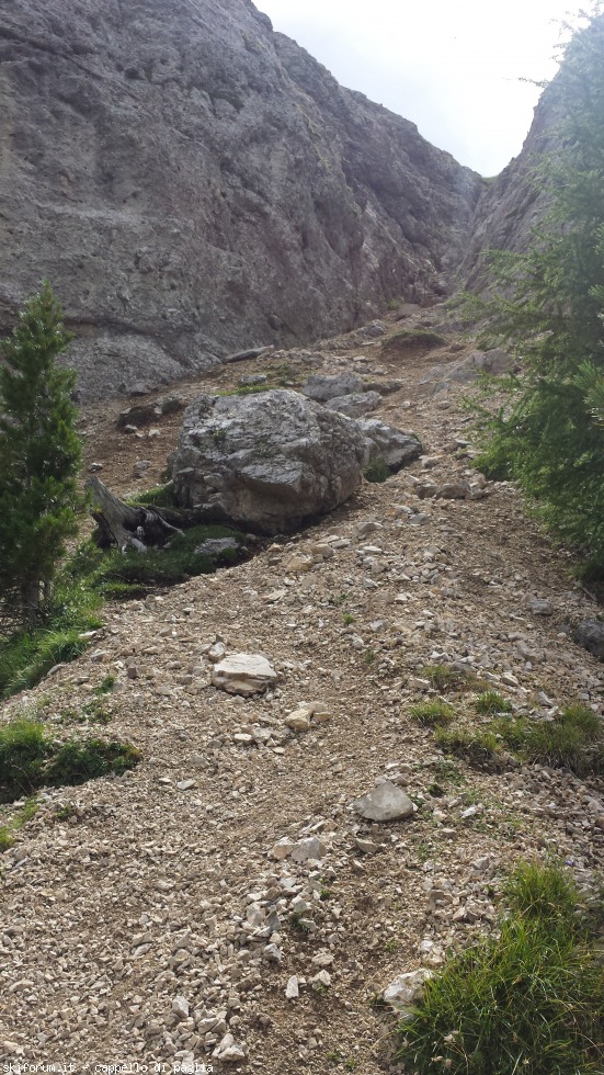 175452-vallaccia-20160803150128.jpg