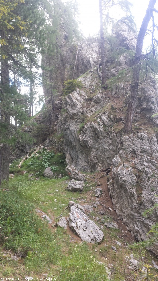 175455-vallaccia-20160803171910.jpg