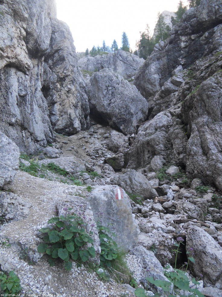 175512-vallaccia-dscn1826.jpg