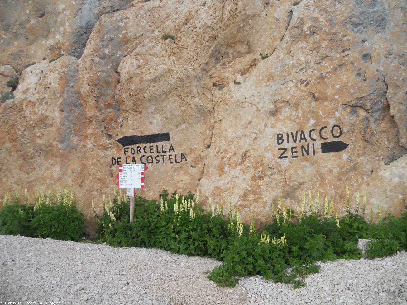 175517-vallaccia-dscn1987.jpg