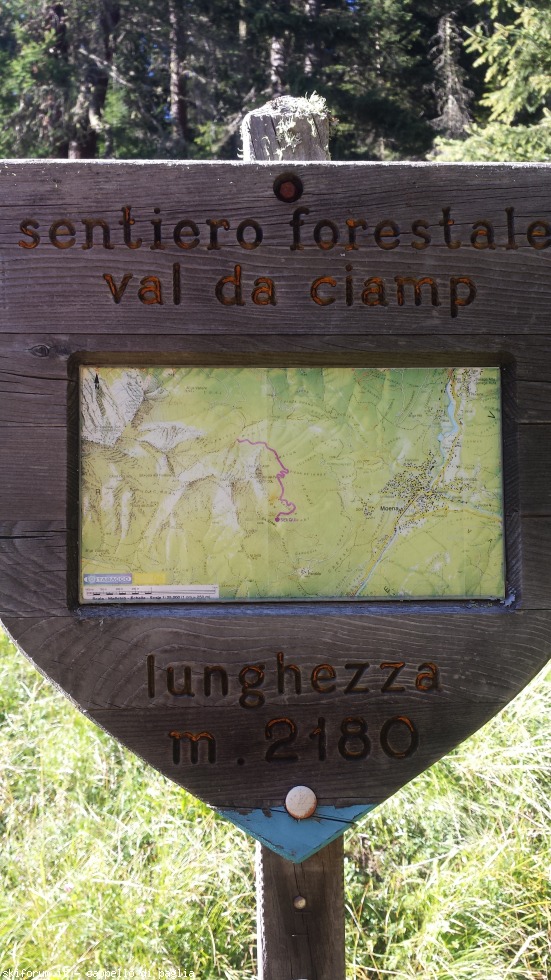 175529-ciamp-toac-20160824172545.jpg