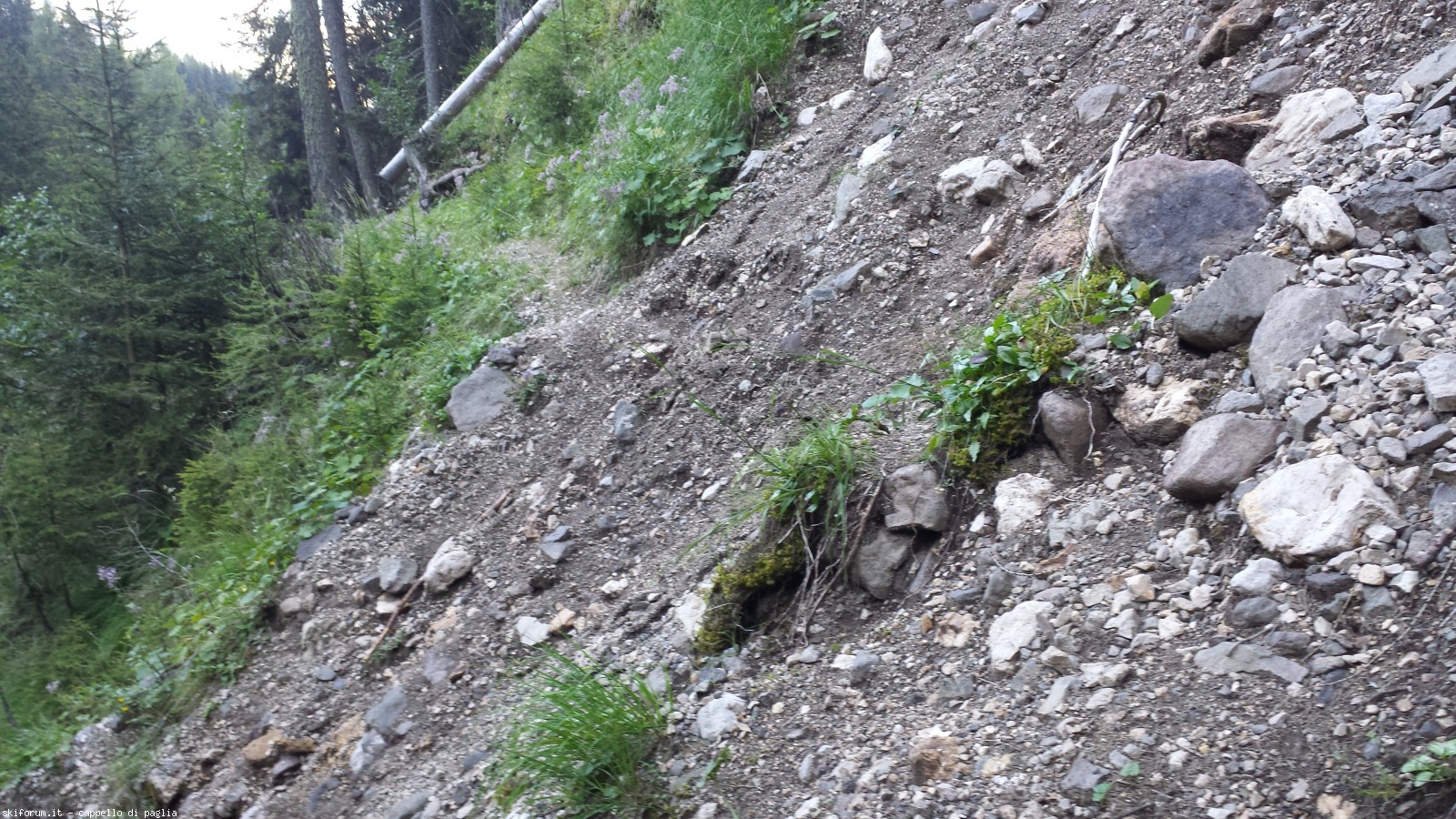 175531-ciamp-toac-20160824180949.jpg