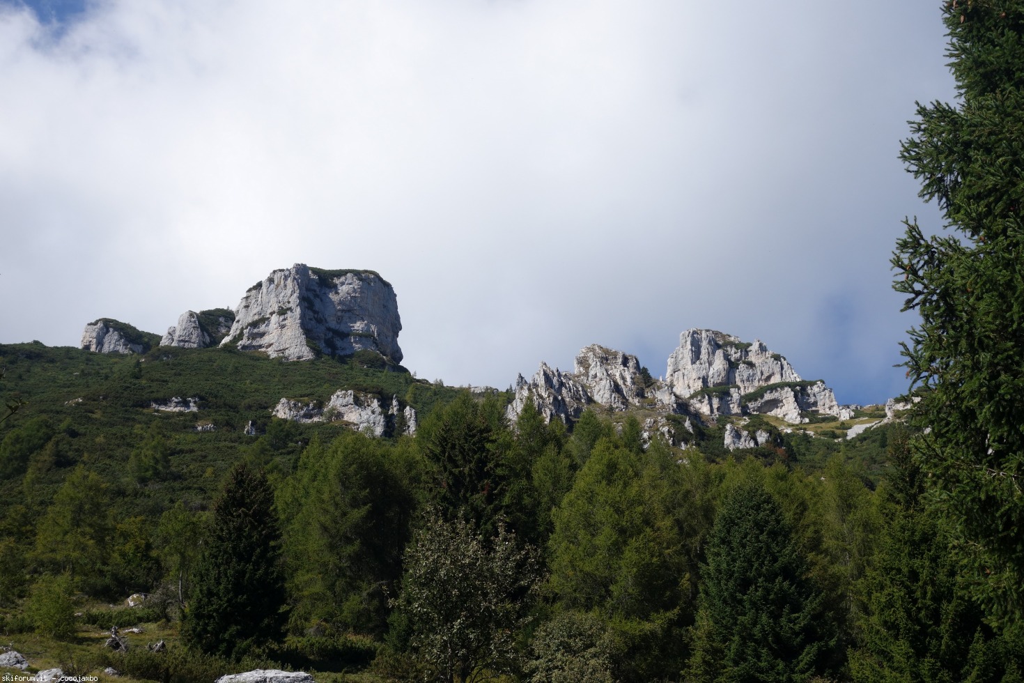 175787-dsc09102.jpg