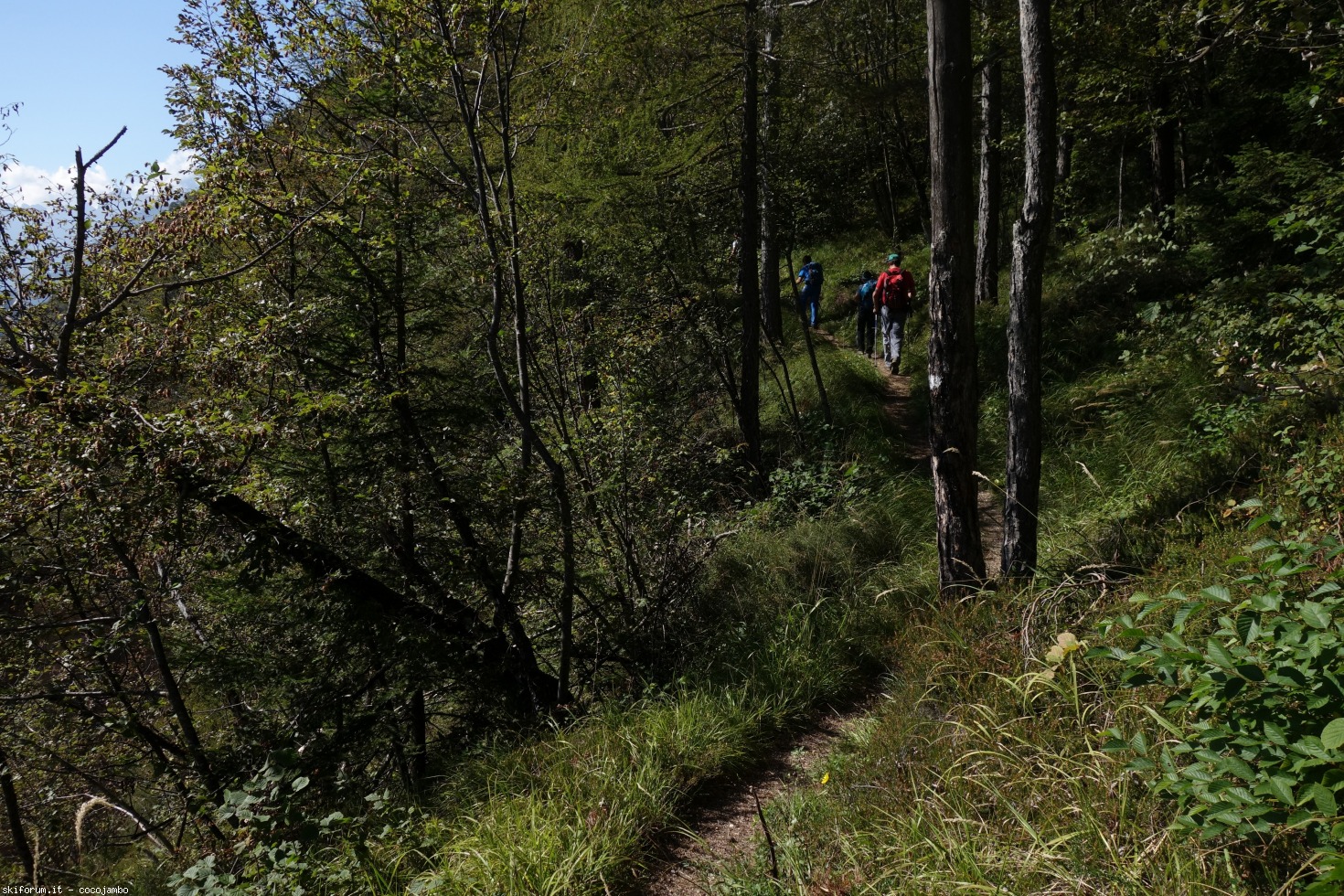 175789-dsc09115.jpg