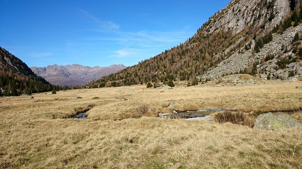 176804-image.jpg