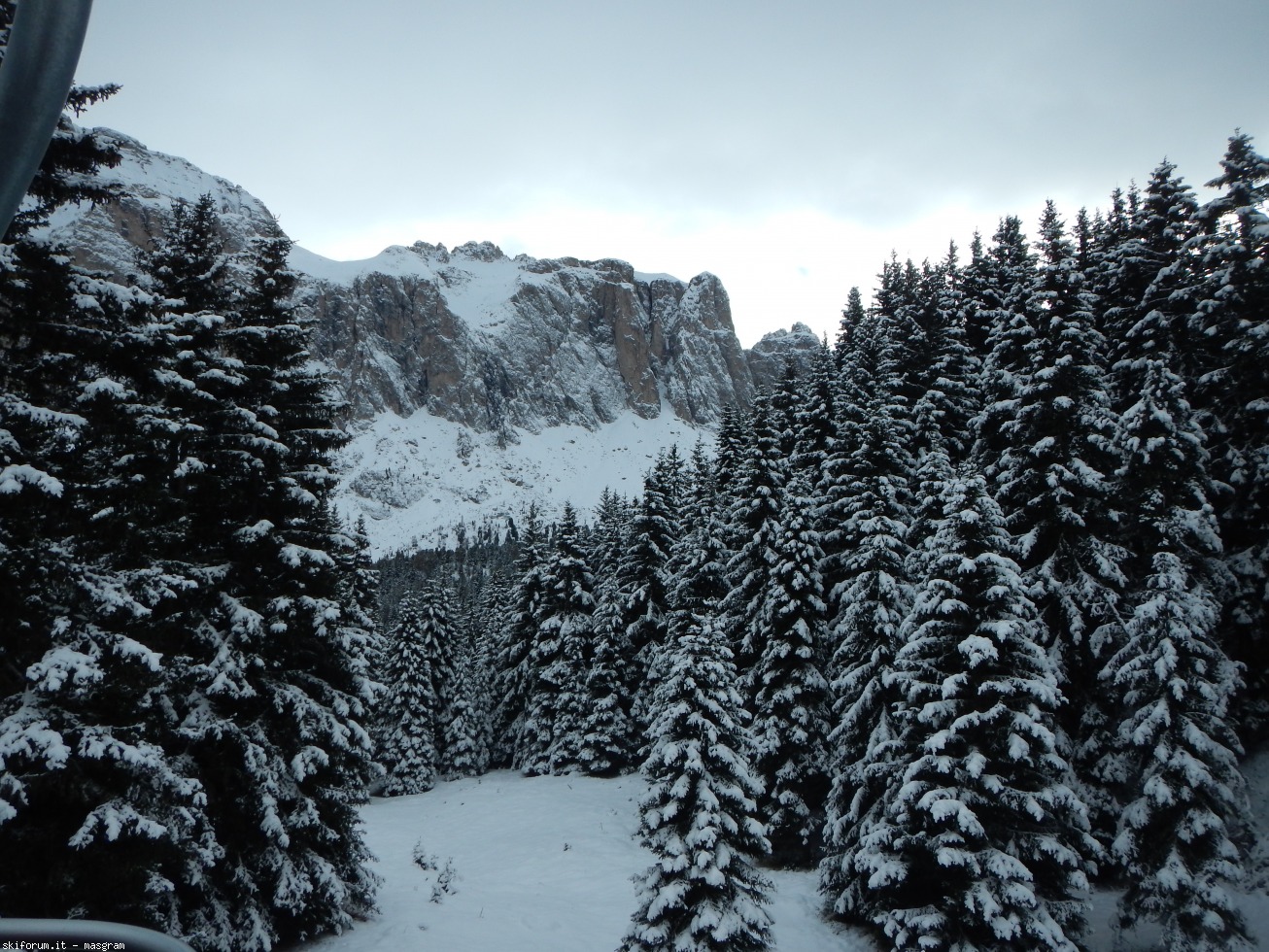 177241-dscn7984.jpg